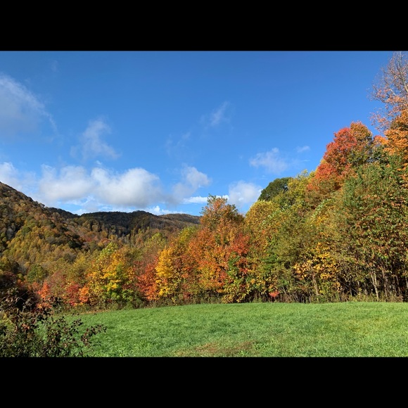 Meet your Posher, Miranda - Picture 1 of 1